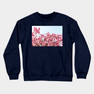 Pink Cherry Blossom Flowers Crewneck Sweatshirt